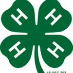 media_graphics_other_clover_mark4_color_png (1)